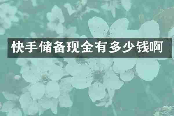 快手储备现金有多少钱啊