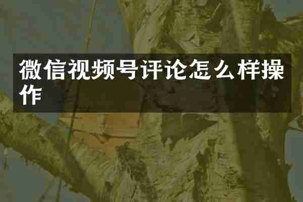 微信视频号评论怎么样操作
