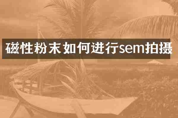 磁性粉末如何进行sem拍摄
