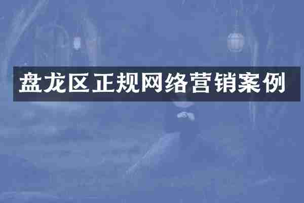盘龙区正规网络营销案例