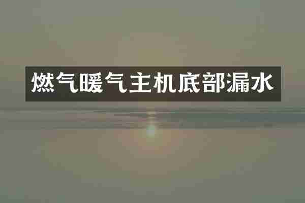 燃气暖气主机底部漏水