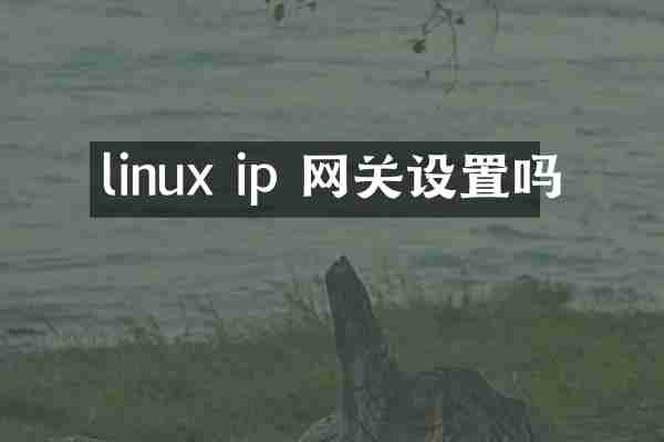 linux ip 网关设置吗