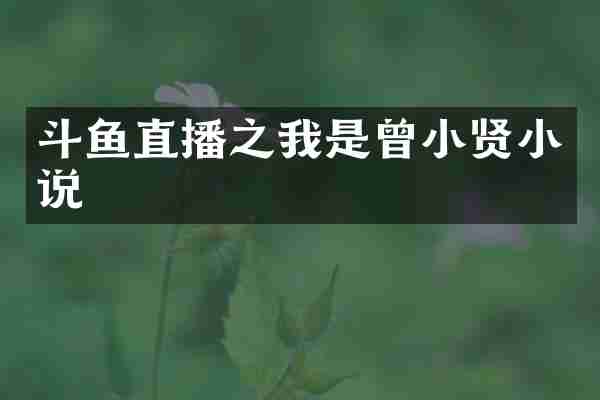 斗鱼直播之我是曾小贤小说