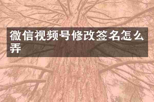 微信视频号修改签名怎么弄
