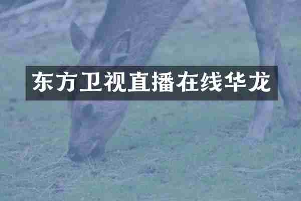 东方卫视直播在线华龙