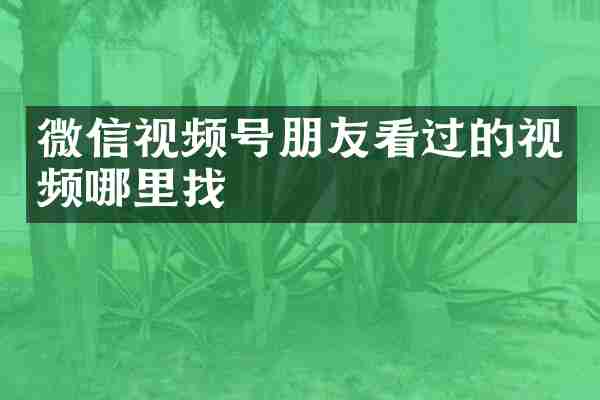 微信视频号朋友看过的视频哪里找