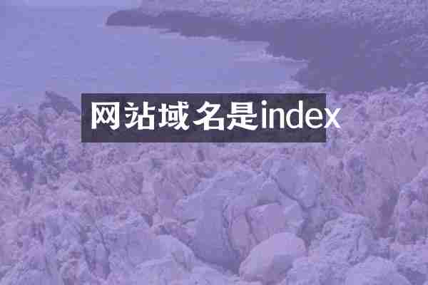 网站域名是index