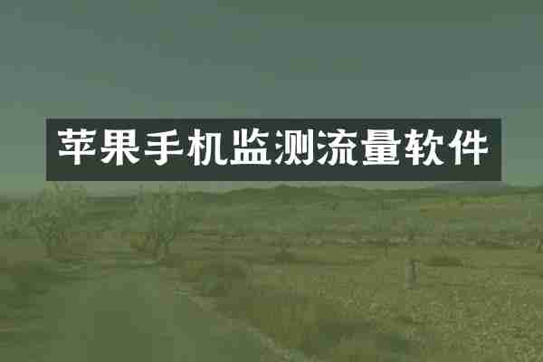 苹果手机监测流量软件