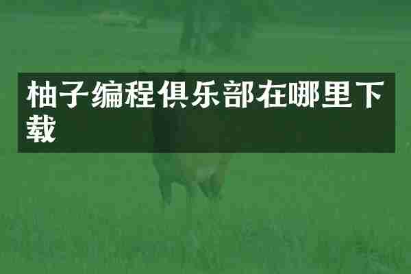 柚子编程俱乐部在哪里下载