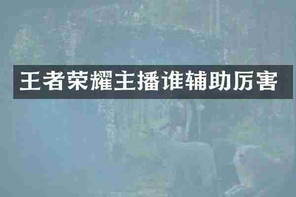 王者荣耀主播谁辅助厉害