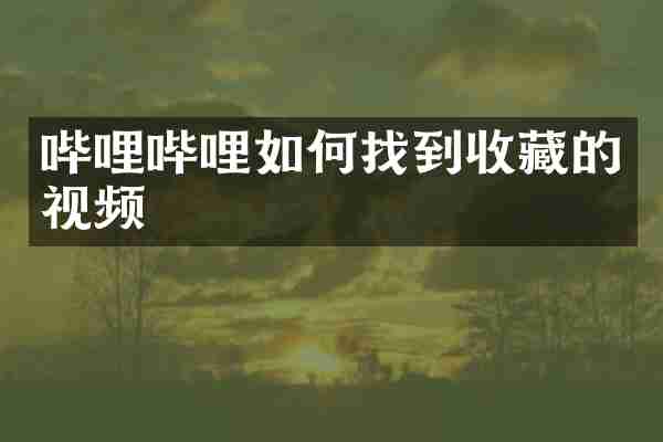 哔哩哔哩如何找到收藏的视频