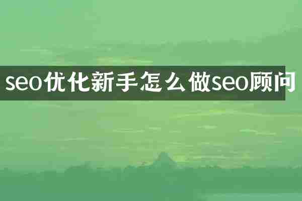 seo优化新手怎么做seo顾问