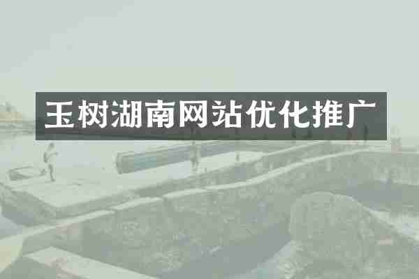 玉树湖南网站优化推广