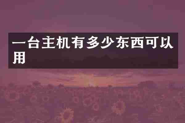 一台主机有多少东西可以用