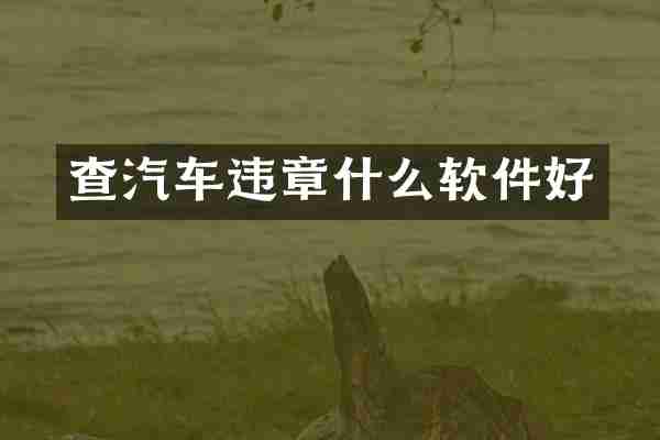 查汽车违章什么软件好