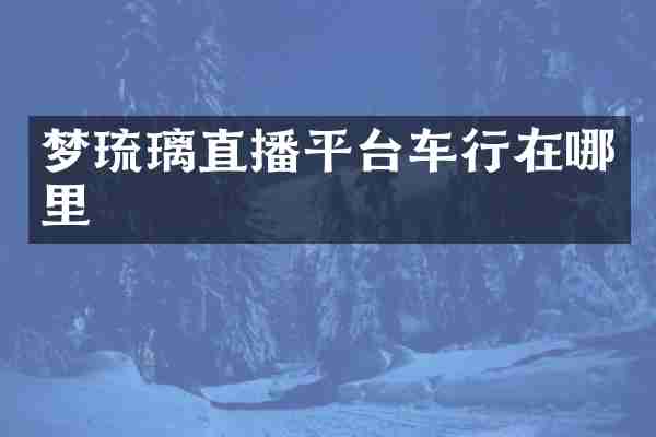 梦琉璃直播平台车行在哪里