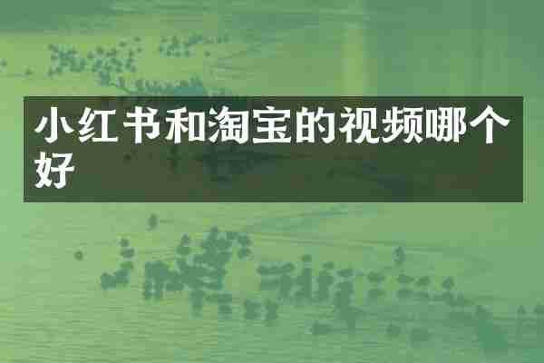 小红书和淘宝的视频哪个好