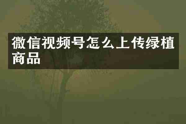 微信视频号怎么上传绿植商品