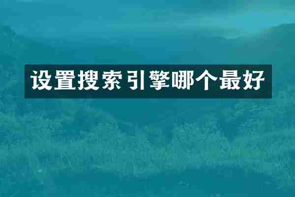 设置搜索引擎哪个最好