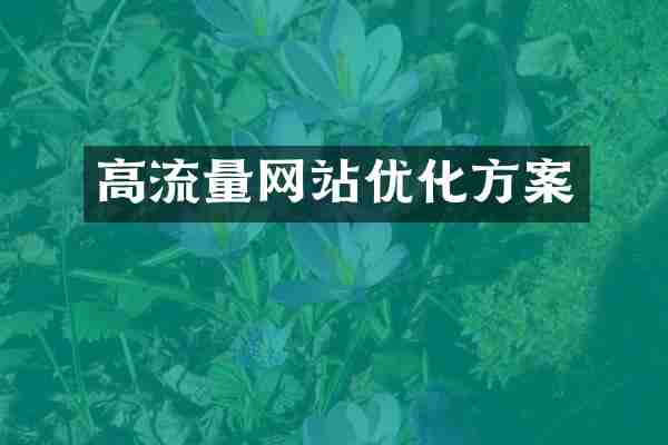 高流量网站优化方案