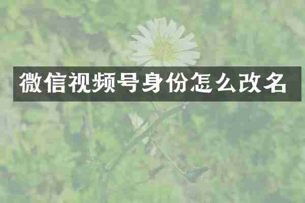 微信视频号身份怎么改名