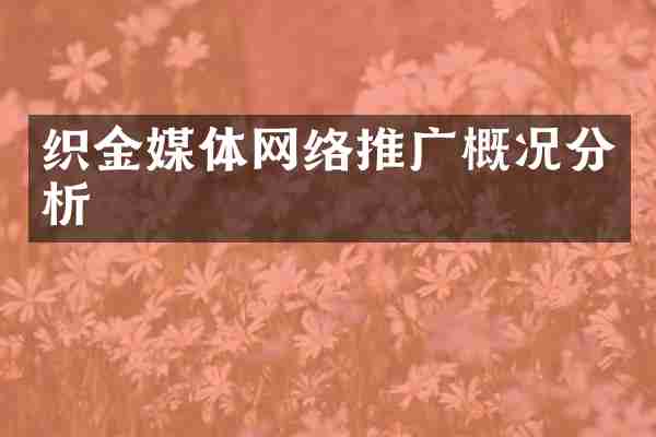 织金媒体网络推广概况分析