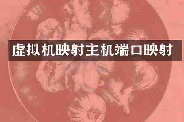 虚拟机映射主机端口映射