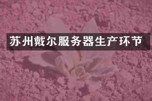 苏州戴尔服务器生产环节