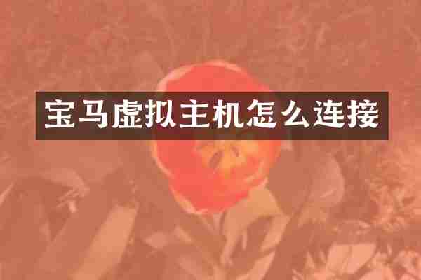 宝马虚拟主机怎么连接