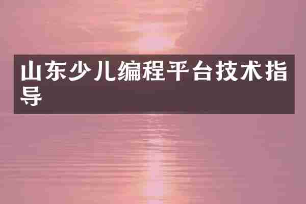 山东少儿编程平台技术指导