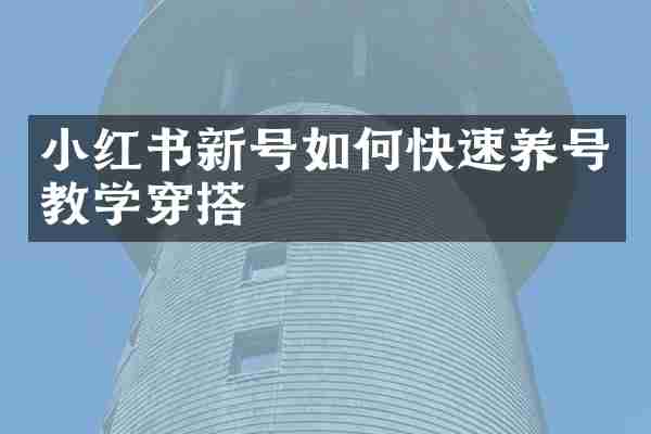 小红书新号如何快速养号教学穿搭