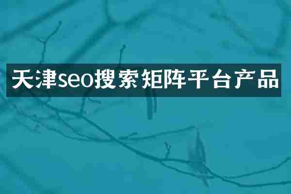 天津seo搜索矩阵平台产品