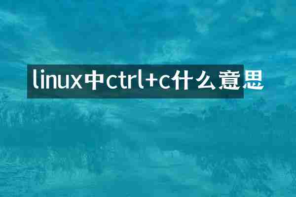linux中ctrl+c什么意思