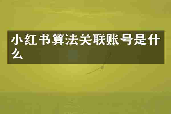 小红书算法关联账号是什么