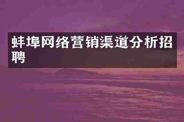 蚌埠网络营销渠道分析招聘