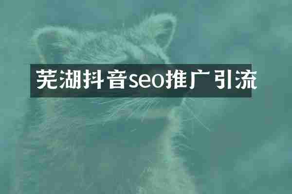芜湖抖音seo推广引流