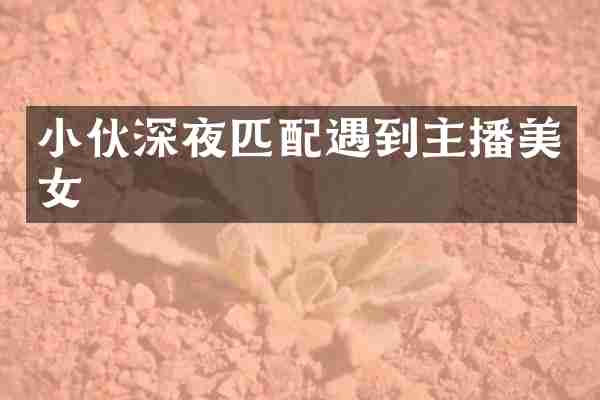 小伙深夜匹配遇到主播美女