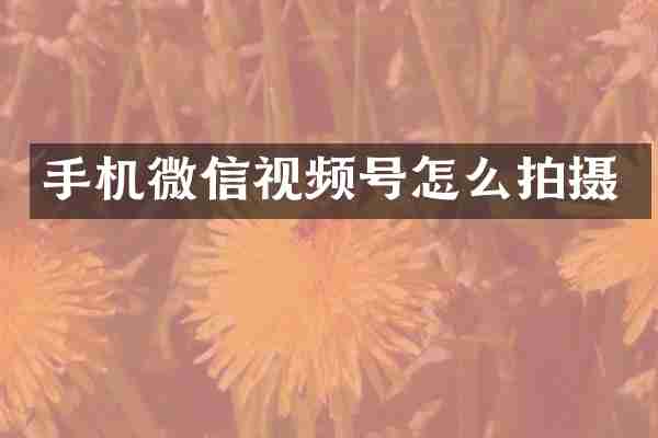 手机微信视频号怎么拍摄