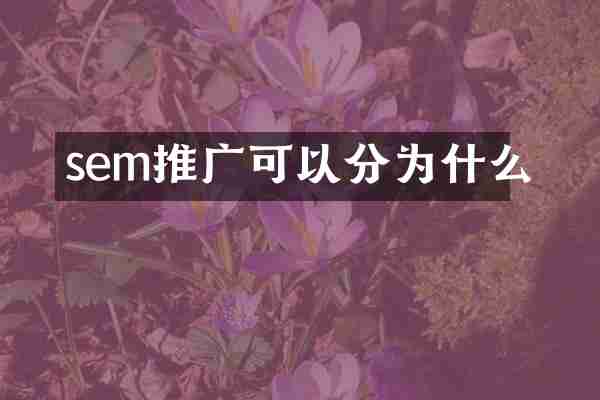 sem推广可以分为什么