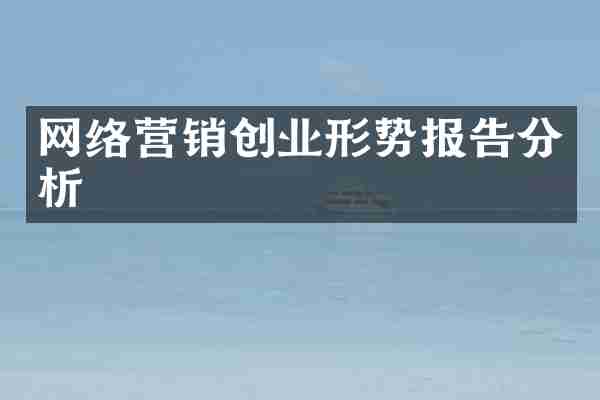 网络营销创业形势报告分析