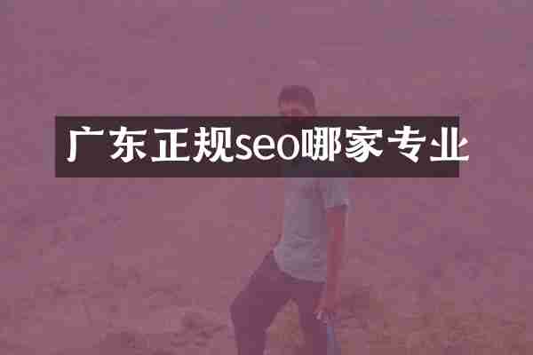 广东正规seo哪家专业