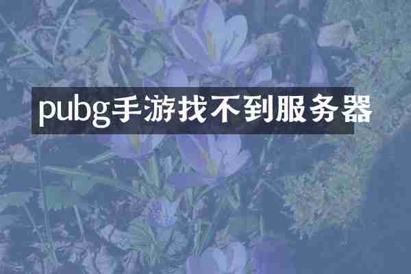 pubg手游找不到服务器
