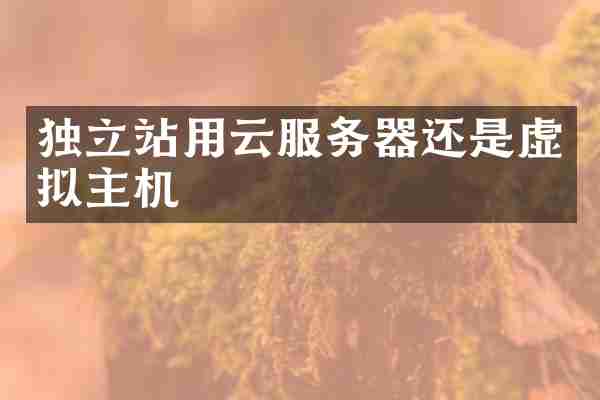 独立站用云服务器还是虚拟主机