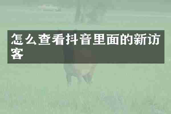 怎么查看抖音里面的新访客