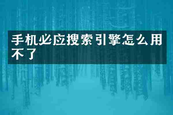 手机必应搜索引擎怎么用不了