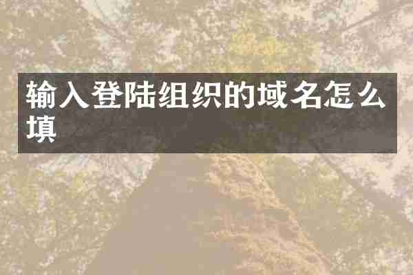 输入登陆组织的域名怎么填