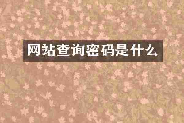 网站查询密码是什么