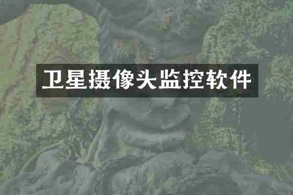 卫星摄像头监控软件