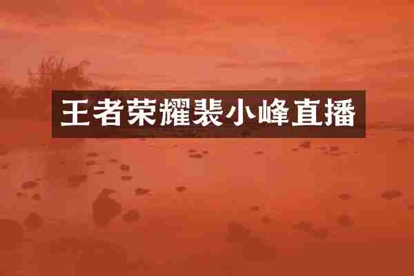 王者荣耀裴小峰直播