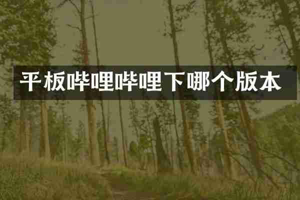 平板哔哩哔哩下哪个版本